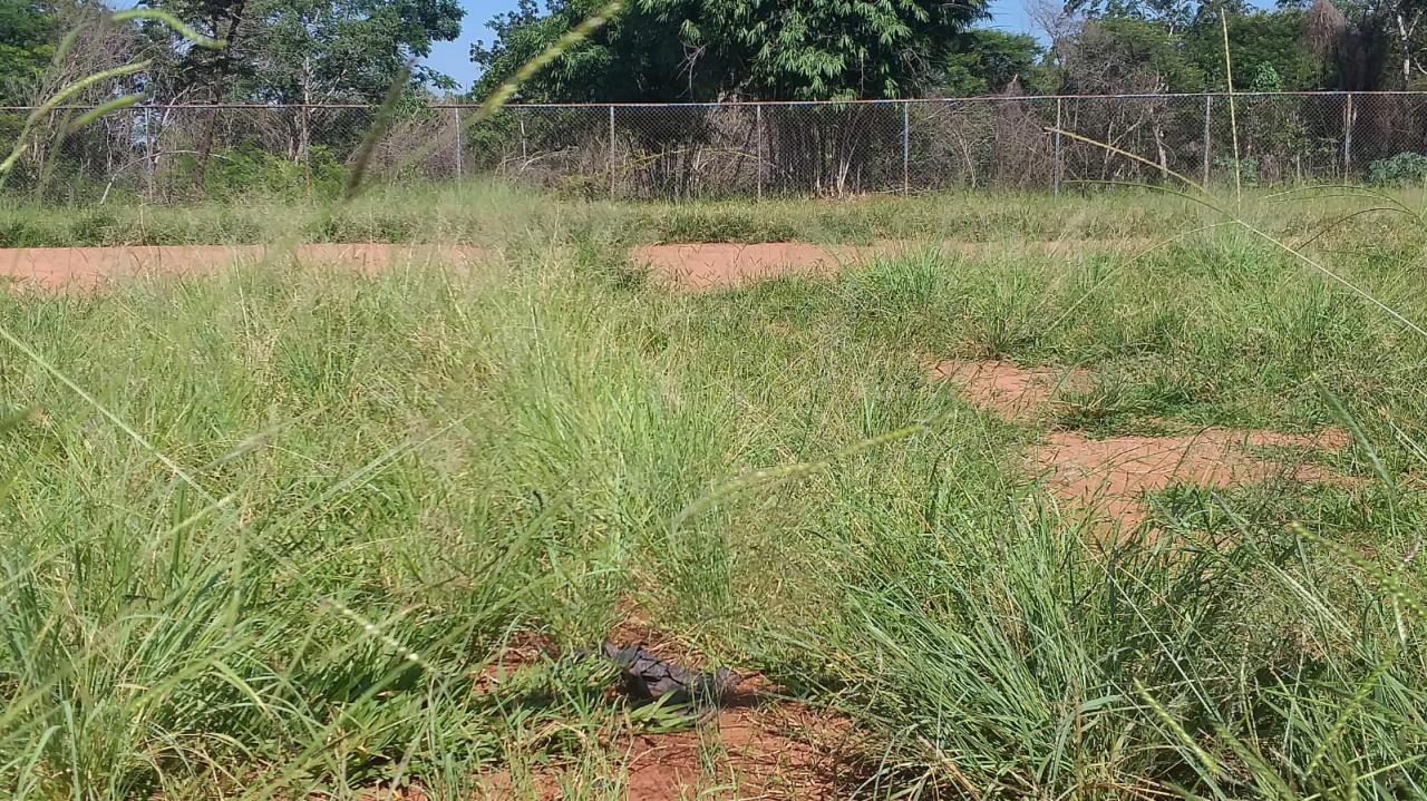 Foto 10 de 21 — Mato toma conta de praça no Maria Luiza; Prefeitura não tem prazo para zeladoria no bairro